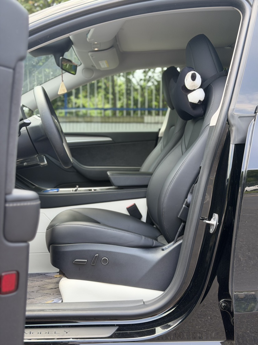 Tesla Model Y 2023 #6 Tesla Model Y 2023 car image #6