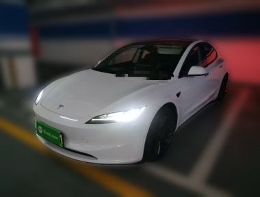 Tesla Model 3 2023 immagine di auto 