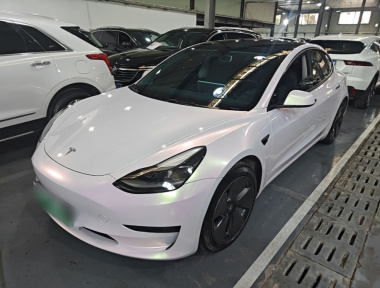 Tesla Model 3 2023 Tesla Model 3 2023 car image