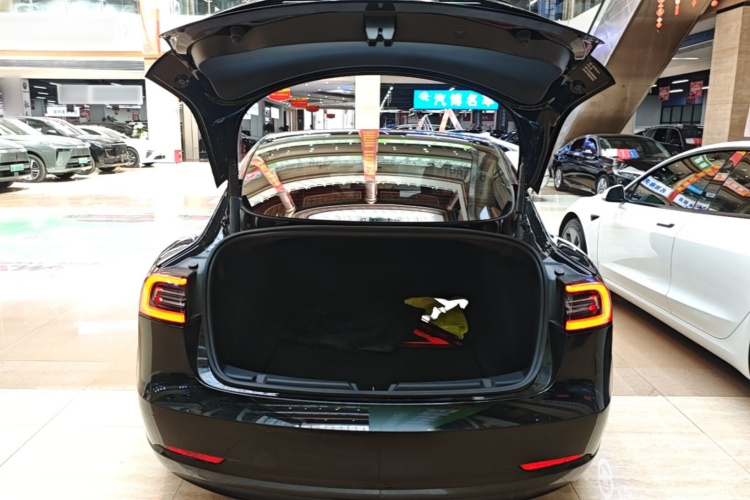 Tesla Model 3 2022 #19 Tesla Model 3 2022 car image #19
