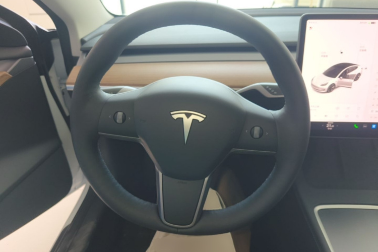Tesla Model 3 2021 #11 Tesla Model 3 2021 car image #11