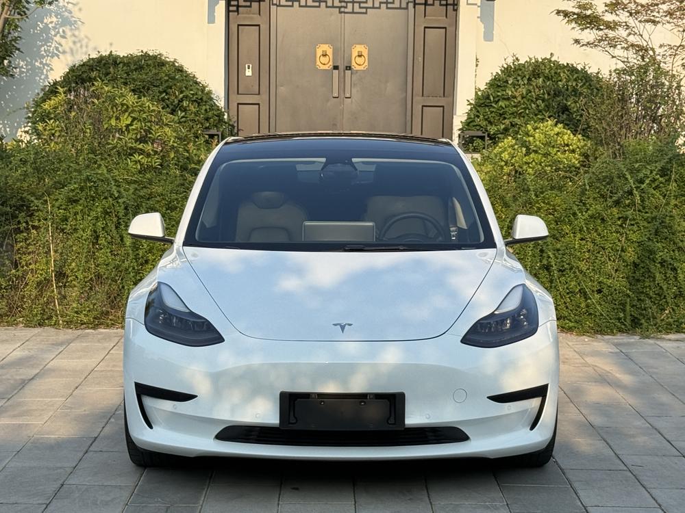 Tesla Model 3 2021 car image #2