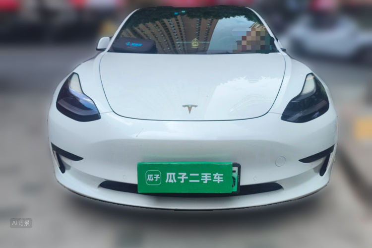 Tesla Model 3 2021 immagine di auto #3