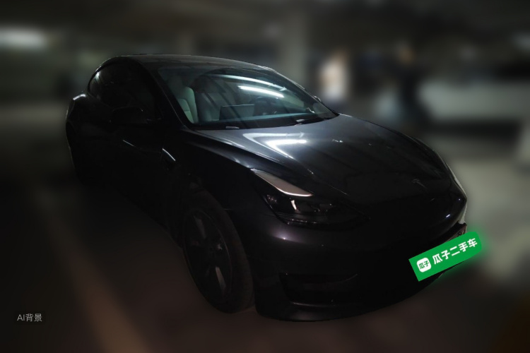 Tesla Model 3 2022 car image #4