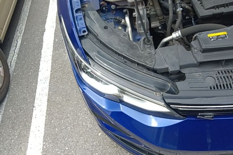 Volkswagen Golf 2021 car image #8