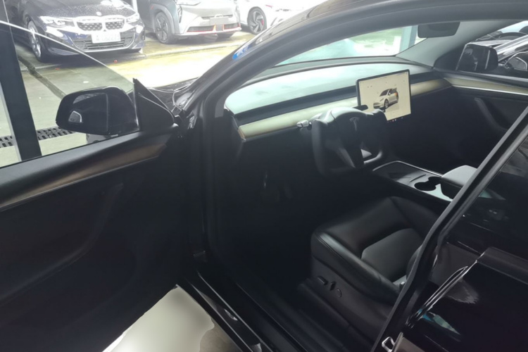 Tesla Model Y 2022 car image #16