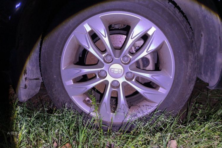 GEELY Emgrand 2016 car image #9
