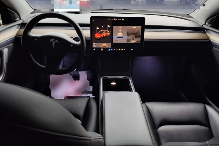 Tesla Model Y 2022 car image #10