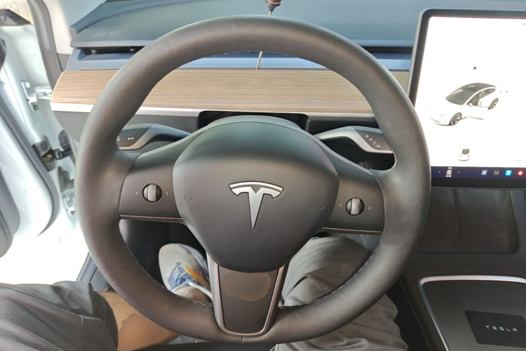 Tesla Model 3 2021 immagine di auto #11