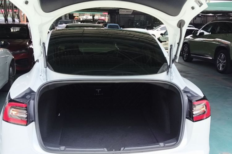 Tesla Model 3 2020 car image #19