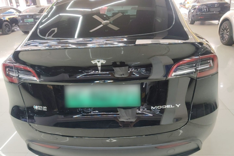 Tesla Model Y 2024 immagine di auto #6