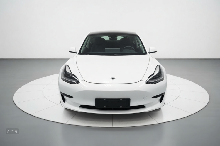 Tesla Model 3 2021 car image #3
