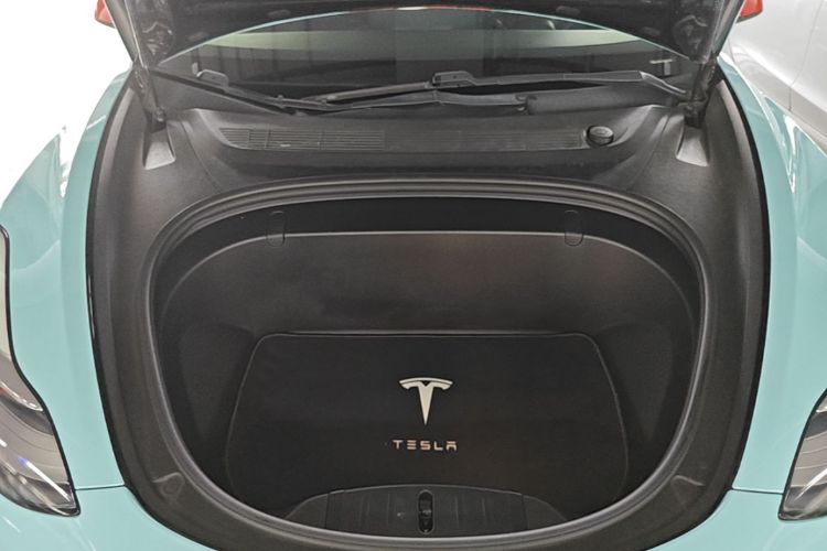 Tesla Model 3 2020 car image #19