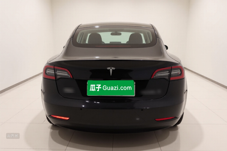 Tesla Model 3 2020 car image #6