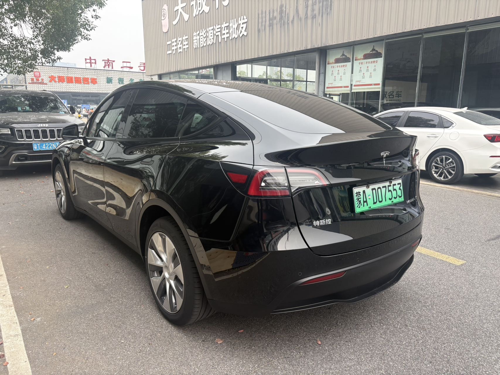 Tesla Model Y 2023 immagine di auto #6