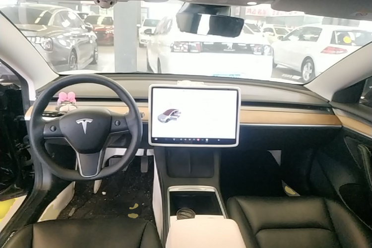 Tesla Model 3 2021 car image #10