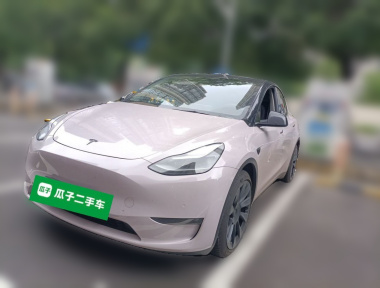 Tesla Model Y 2021 Tesla Model Y 2021 car image