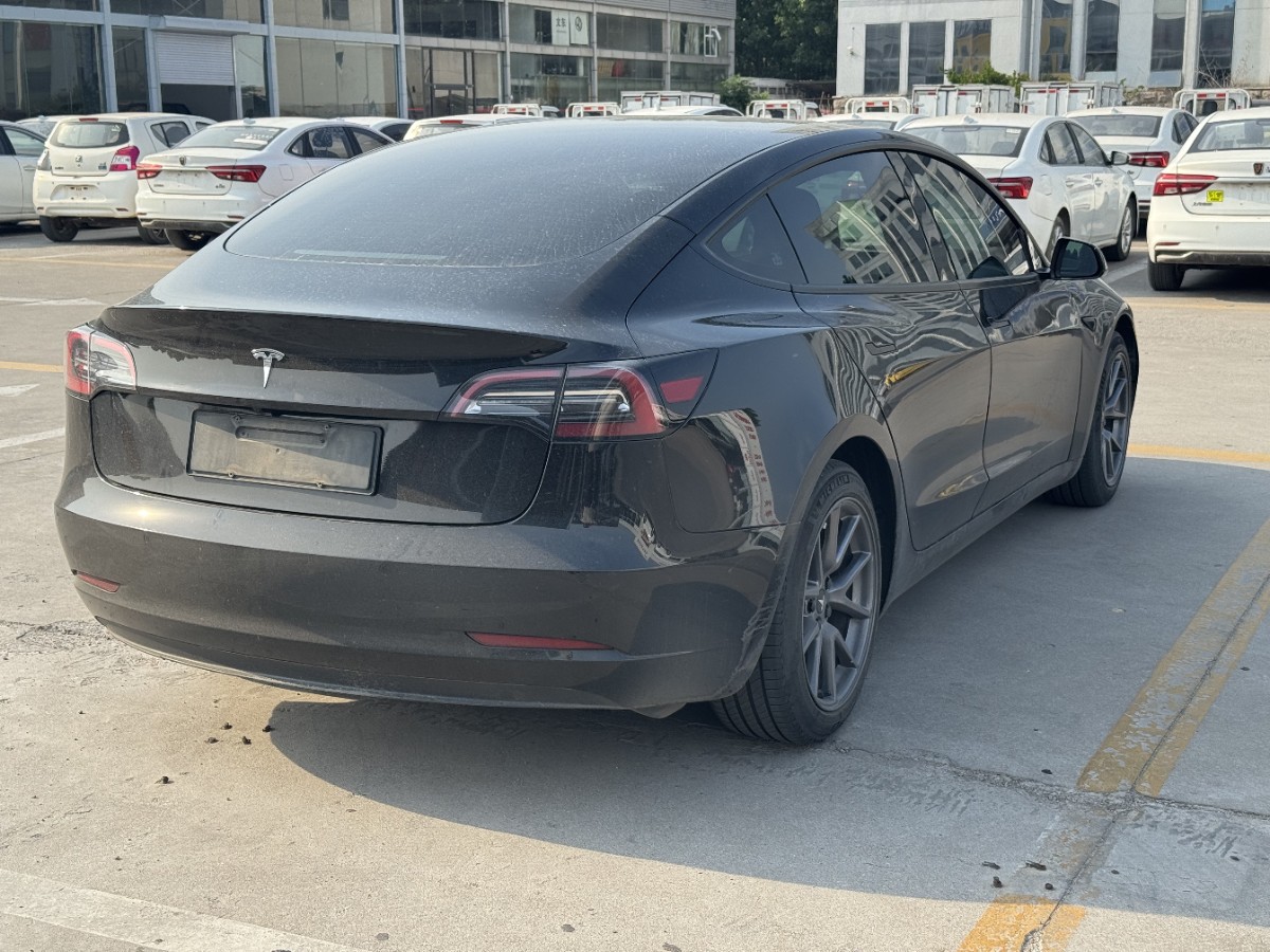 Tesla Model 3 2023 #6 Tesla Model 3 2023 car image #6