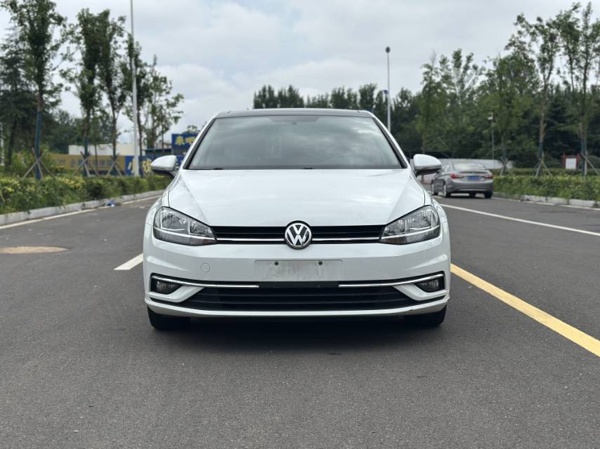 Volkswagen Golf 2019 #2 Volkswagen Golf 2019 car image #2