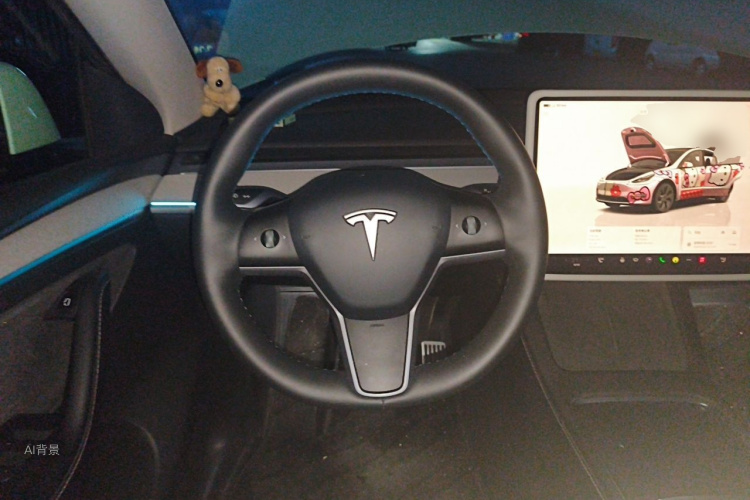 Tesla Model Y 2024 car image #12