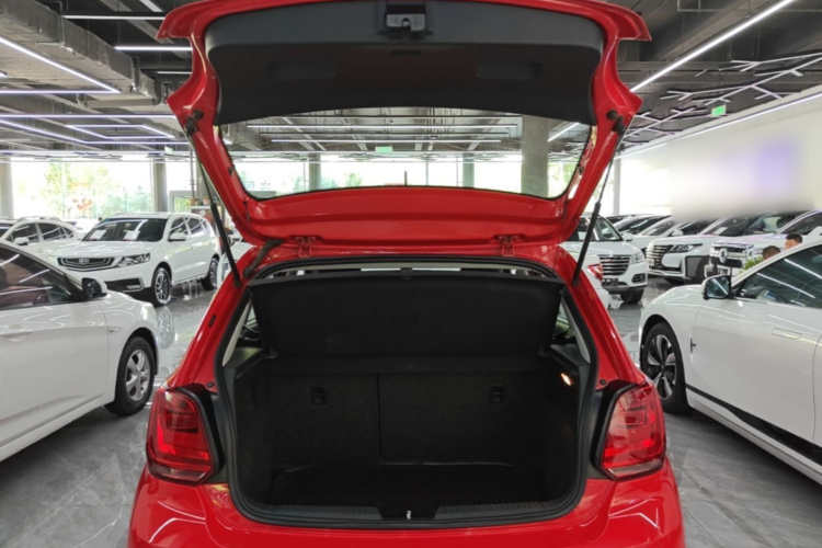Volkswagen Polo 2015 car image #19