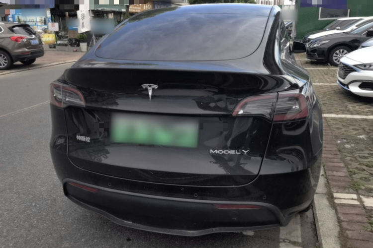 Tesla Model Y 2021 car image #6