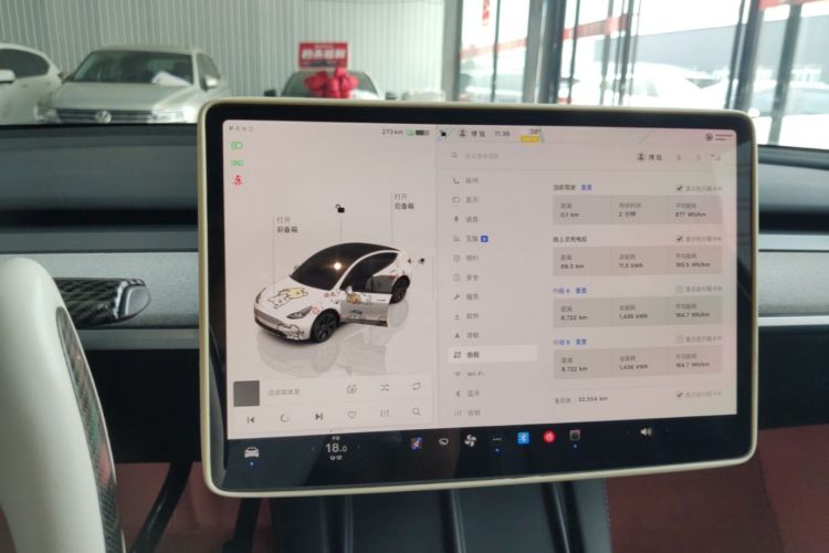 Tesla Model Y 2024 car image #13