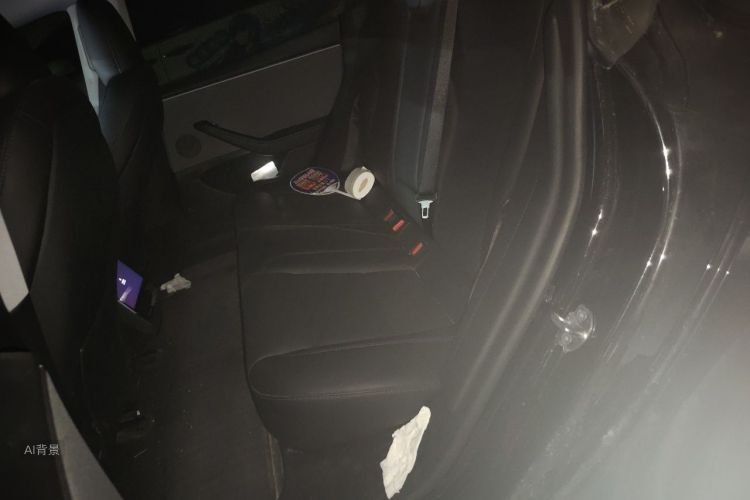 Tesla Model 3 2025 immagine di auto #19