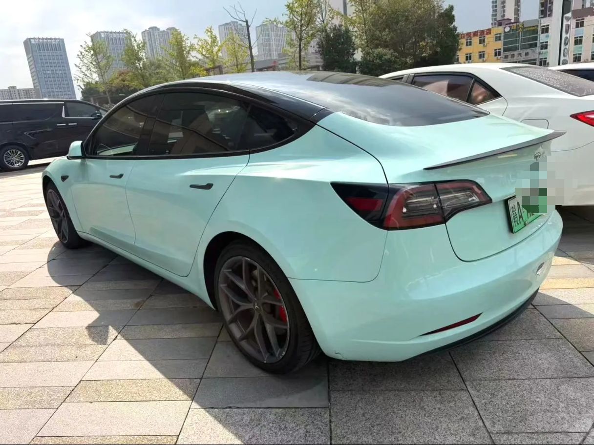 Tesla Model 3 2022 car image #4