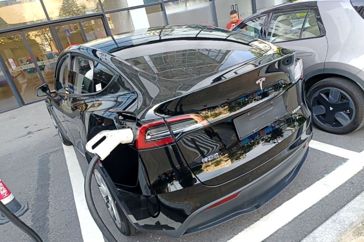 Tesla Model Y 2021 car image #5
