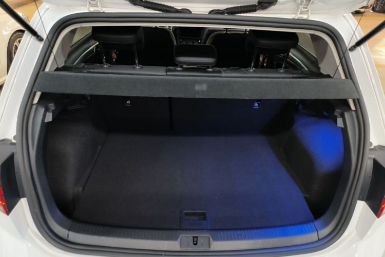 Volkswagen Golf 2020 car image #19