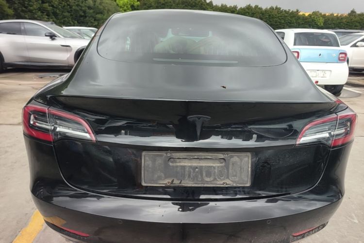 Tesla Model 3 2020 car image #6