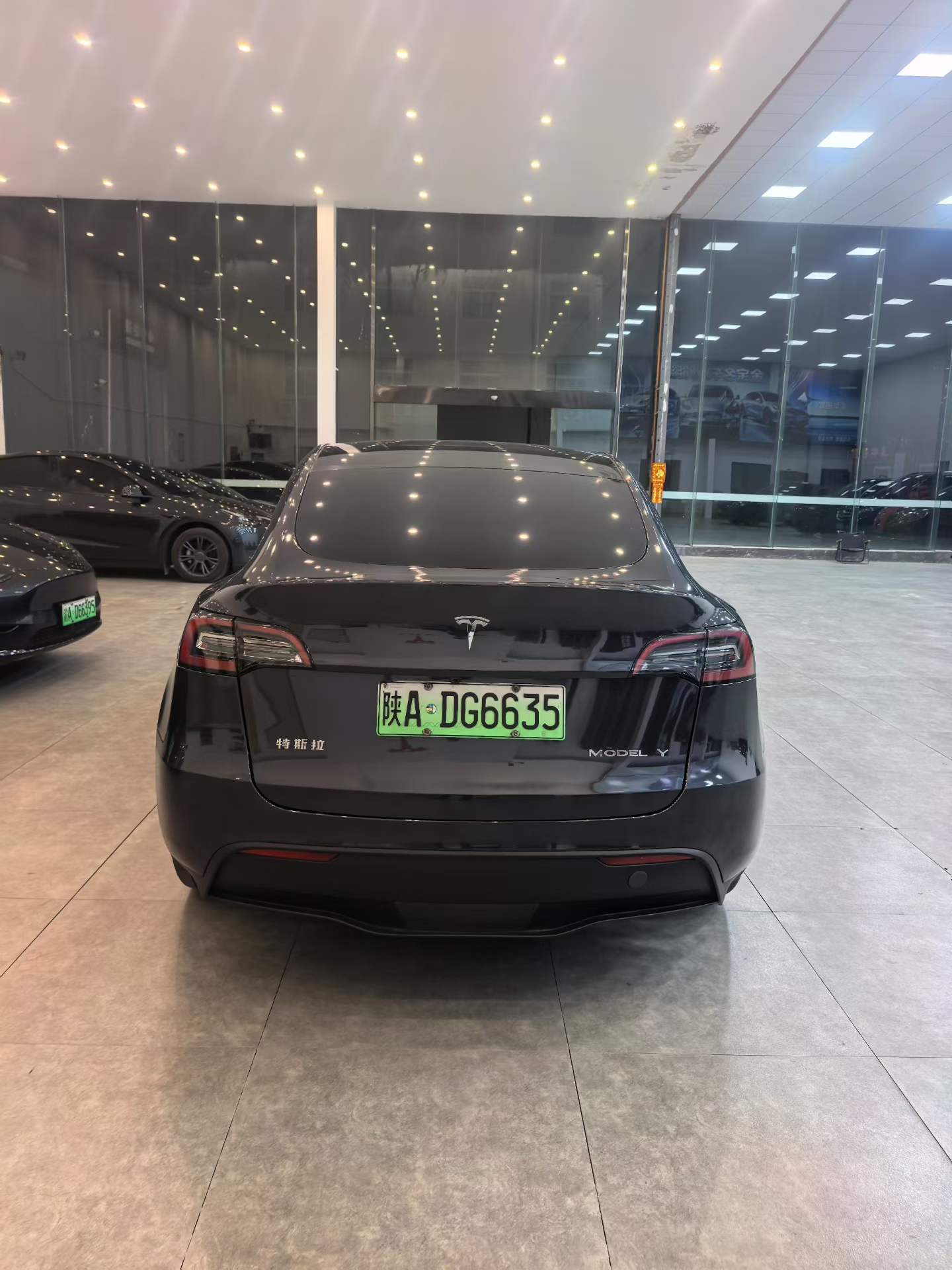 Tesla Model Y 2024 #6 Tesla Model Y 2024 car image #6