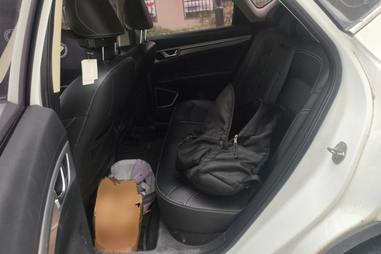 GEELY Emgrand GS 2019 #10 GEELY Emgrand GS 2019 car image #10