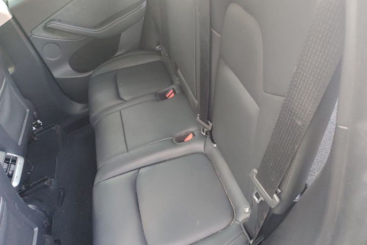 Tesla Model Y 2024 car image #10