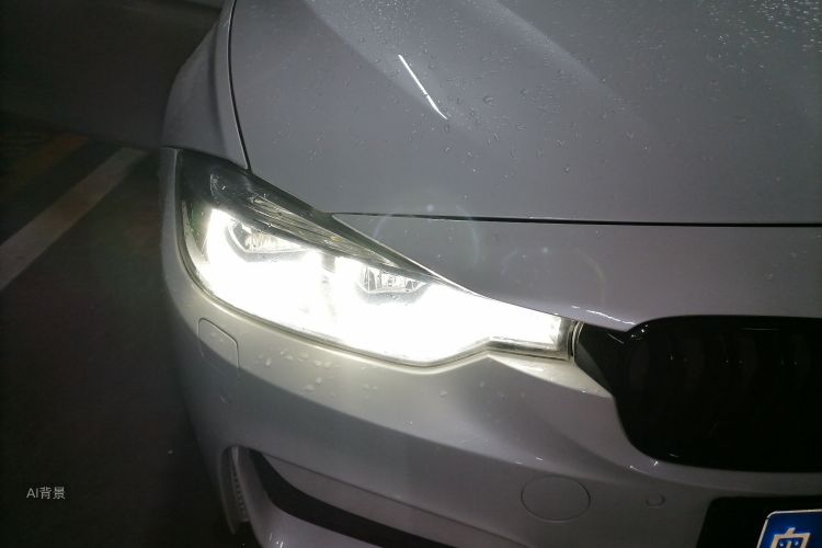 BMW 3 Series 2019 car image #8