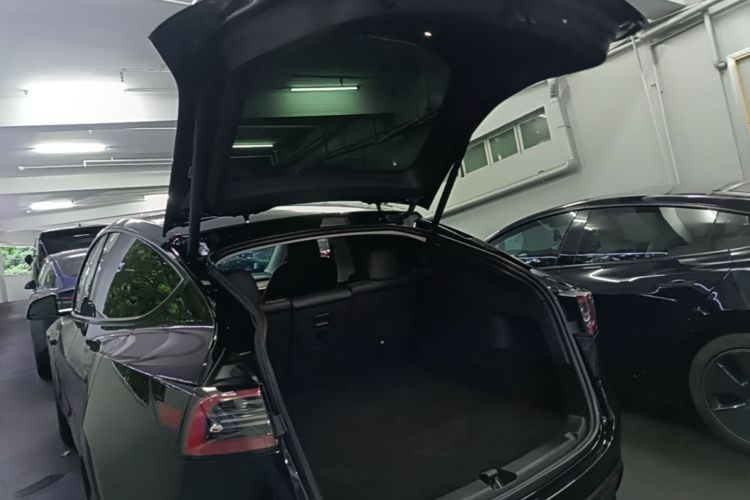 Tesla Model Y 2023 #19 Tesla Model Y 2023 car image #19
