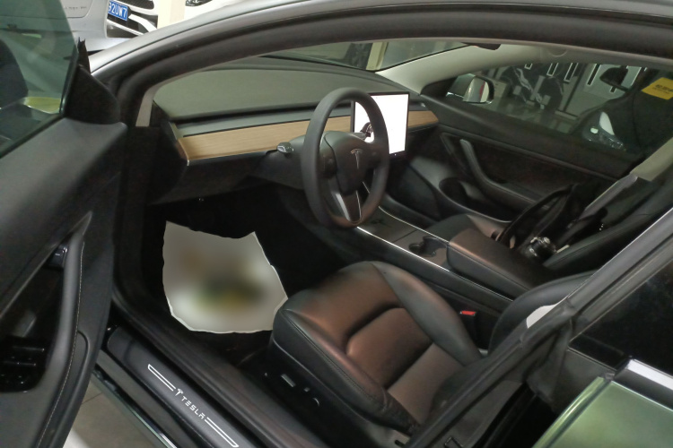 Tesla Model 3 2020 car image #12