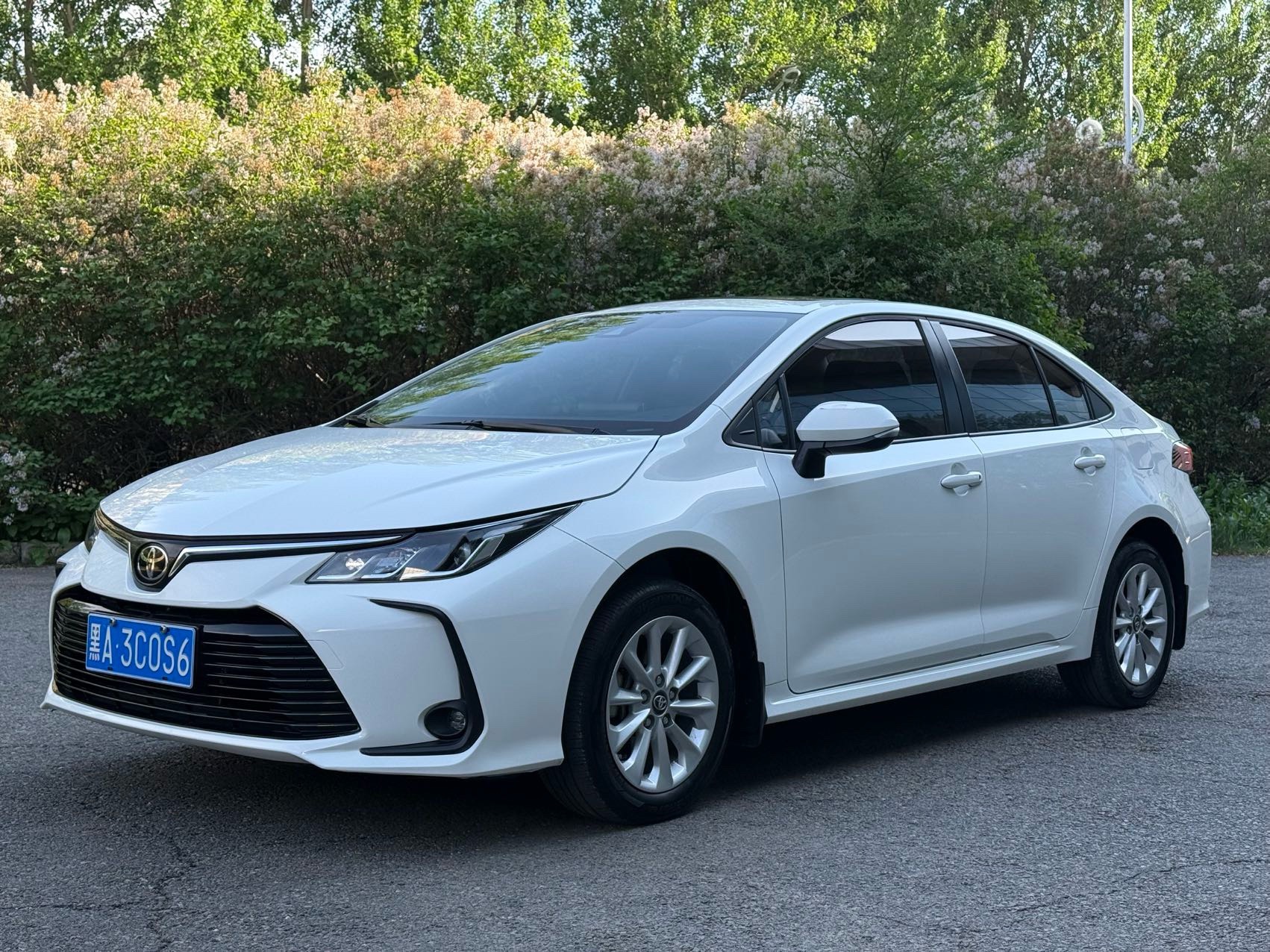 Toyota Corolla 2023 Toyota Corolla 2023 car image