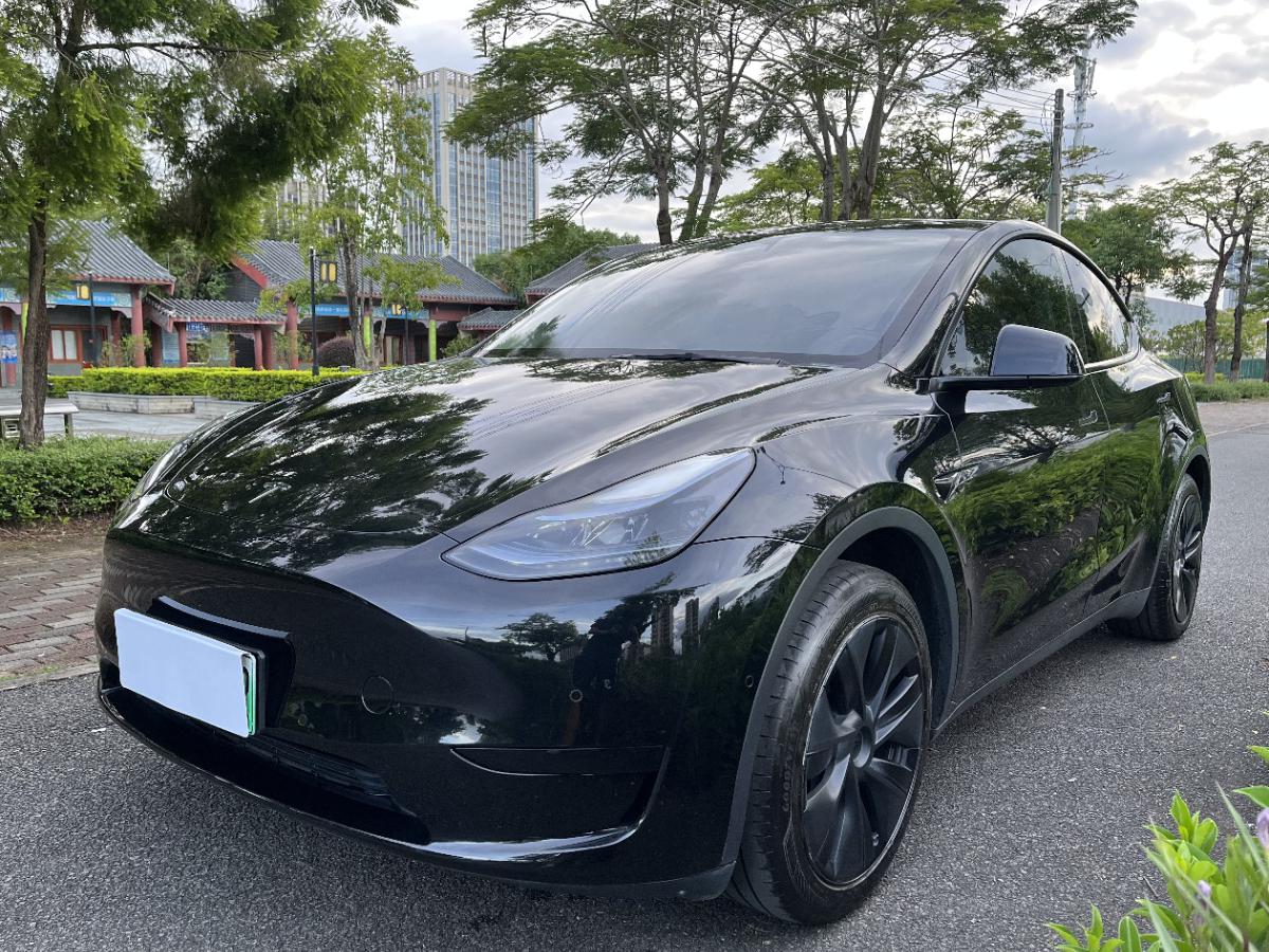 Tesla Model Y 2023 car image 