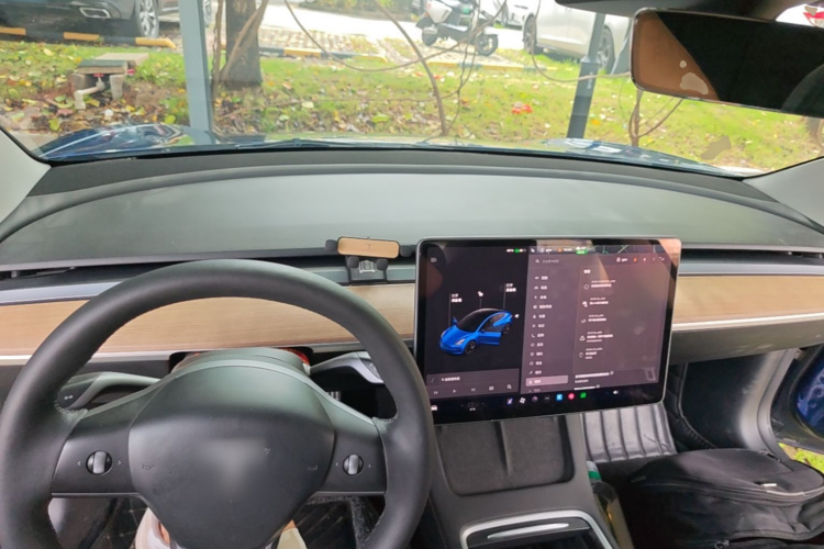 Tesla Model 3 2021 #10 Tesla Model 3 2021 car image #10