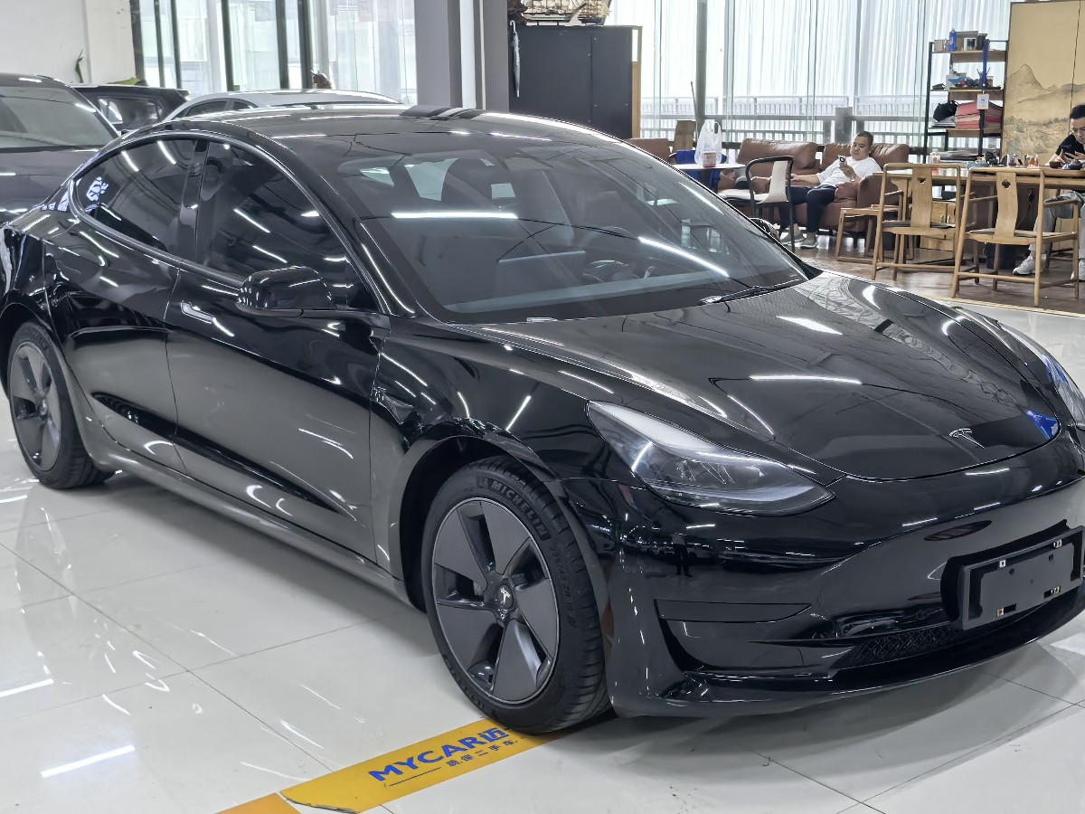 Tesla Model 3 2022 #3 Tesla Model 3 2022 car image #3