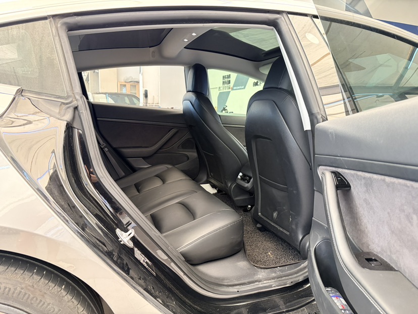 Tesla Model 3 2020 car image #7