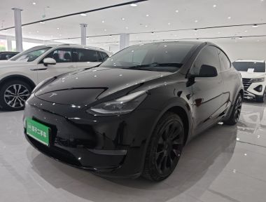 Tesla Model Y 2021 Tesla Model Y 2021 car image