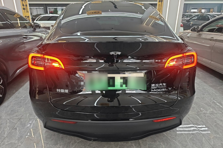 Tesla Model Y 2022 car image #6