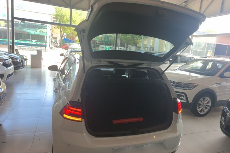 Volkswagen Golf 2019 car image #19