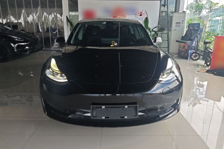 Tesla Model 3 2021 #3 Tesla Model 3 2021 car image #3