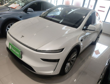 Tesla Model Y 2025 Tesla Model Y 2025 car image