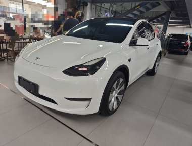 Tesla Model Y 2022 Tesla Model Y 2022 car image