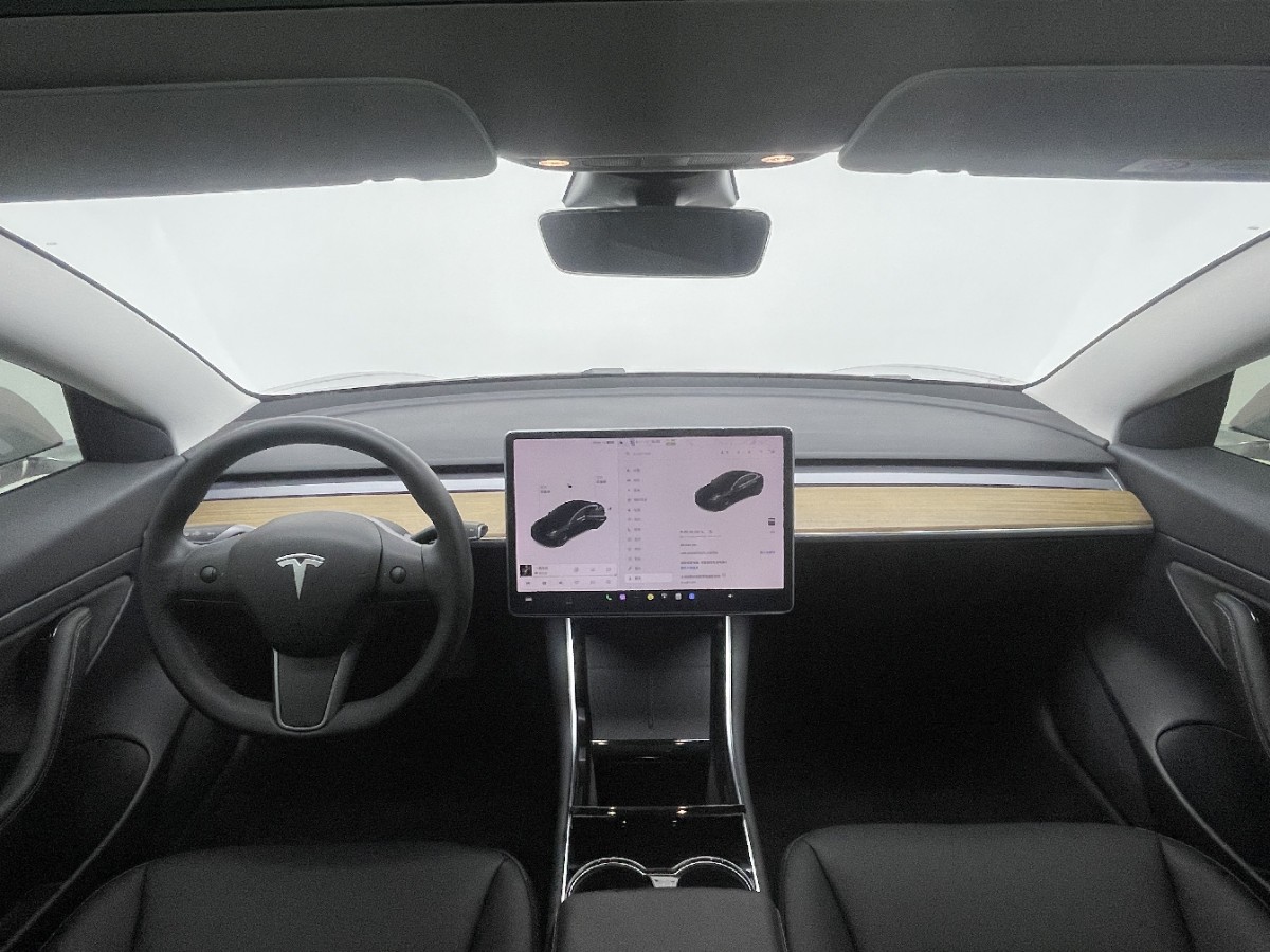 Tesla Model 3 2020 immagine di auto #5